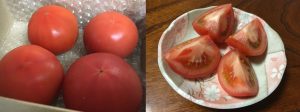 らでぃっしゅぼーやのトマト